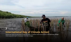 International Day of Climate Action Saatnya Bumi Butuh Tindakan Nyata, Tanam Pohon Jadi Solusi Konkret
