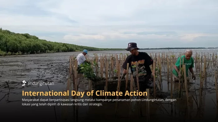 International Day of Climate Action Saatnya Bumi Butuh Tindakan Nyata, Tanam Pohon Jadi Solusi Konkret