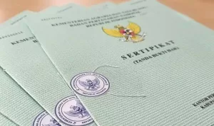 Cara Mudah Cek Sertifikat Rumah Sah dan Aman Secara Legal