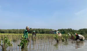 Rayakan Hari Menanam Pohon Indonesia