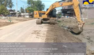 public (3) (38)