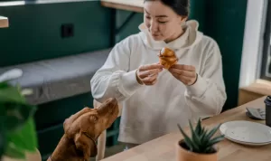 5 Rekomendasi Pet Friendly Cafe di Jakarta untuk Hangout di Akhir Pekan