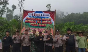 IMG-20260129-WA0027