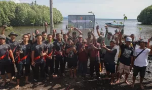 Kogabwilhan III menanam 1.000 pohon mangrove di Pantai Gambesi (2)