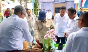 Kunjungan Presiden Prabowo pada Panen Raya di Karawang, Jawa Barat
