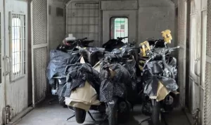 Program Angkutan Motor Gratis DJKA Kemenhub