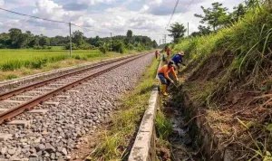 Antisipasi Cuaca Ekstrem, KAI Daop 9 Jember Perkuat Infrastruktur dan Siagakan Petugas Ekstra
