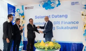BRI-Finance