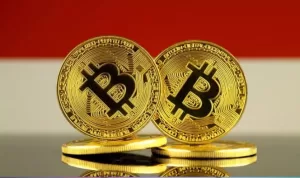 Dinamika Penetapan Status Syariah Aset Kripto di Indonesia Masih Berlanjut