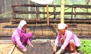 MIND ID Bina Lebih dari 10.000 UMKM