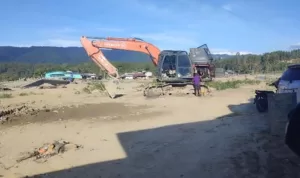 public (100)