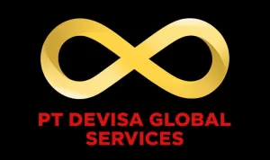 Difference Between Business Visa and Work Permit