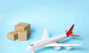 Pilih Express atau Economy Trik Tepat Waktu Saat Kirim Paket Ke Luar Negeri (1)