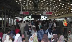 public (1) (1)