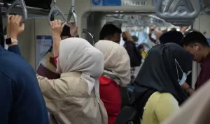 public (1)