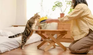 Unicharm Pet Indonesia