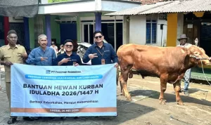 Grup MIND ID Salurkan 1.735 Hewan Kurban Dari Sumatra hingga Papua