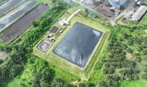 Holding Perkebunan Nusantara Perkuat Transisi Energi Bersih melalui Perdagangan Karbon PTPN IV PalmCo