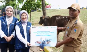 PT Pelindo Sinergi Lokaseva Berbagi Hewan Kurban, Perkuat Kepedulian Sosial dan Dukung Peternak Lokal.jpg