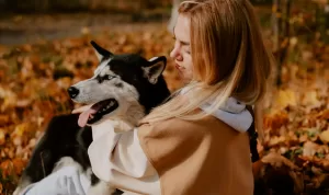 Sering Dianggap Mirip Serigala, Ini Fakta Menarik tentang Anjing Husky.jpg