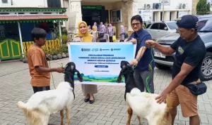 Wujud Kepedulian Sosial, PT Jasamarga Tollroad Maintenance Salurkan Bantuan Hewan Kurban Senilai Rp480 Juta untuk 1.650 Penerima Manfaat