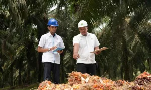 Holding Perkebunan Nusantara Perkuat Daya Saing SDM