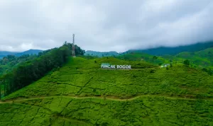 Mengurai Kemacetan Akhir Pekan Mengapa Rancamaya Menjadi Alternatif Rasional Puncak bagi Warga Jabodetabek