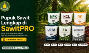 SawitPRO Hadirkan Pilihan Pupuk Sawit Lengkap untuk Kebutuhan Petani dan Perkebunan
