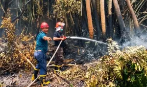 Antisipasi Karhutla, Holding perkebunan Nusantara melalui PTPN IV PalmCo Perkuat Deteksi Dini dan Patroli di Sumatera-Kalimantan