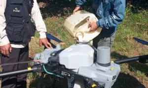 Harga Drone Pertanian DJI Agras 2026 Bandingkan T25P, T55, T70P, dan T100 Sebelum Beli