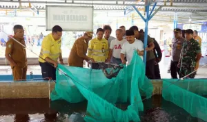 Sinergi Pemda Halmahera Utara dan NHM Peduli Dorong Kemandirian Pangan Melalui Sukses Budidaya Bioflok BUMDes Sadaka Farm.jpg