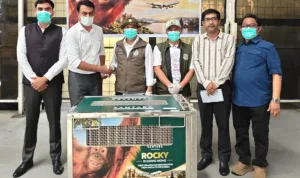 Bayi Orangutan yang Diselamatkan di India Dipulangkan ke Indonesia, Lima Lainnya Menyusul