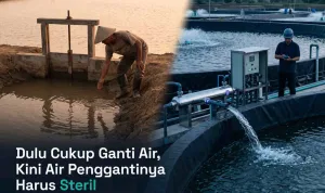 FisTx Indonesia