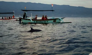 Menilik Seririt Titik Tenang di Barat Lovina yang Kian Dilirik Pemburu Slow Travel