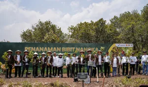 Perkuat Ketahanan Pangan dan Ekonomi Desa, Pertamina Gelar Panen Raya Nangka di Hutan Wanaboga Gunungkidul